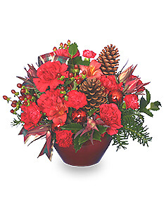 It's Christmas Time!